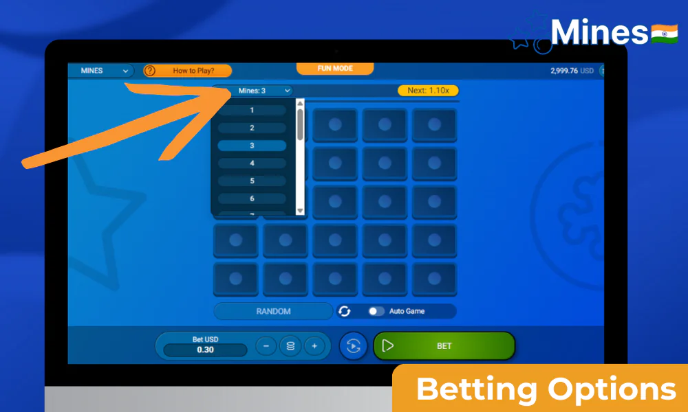 Betting options and payout structure in Mines